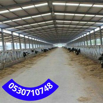 إنشاء هناجر مزارع وأعلاف في رنية