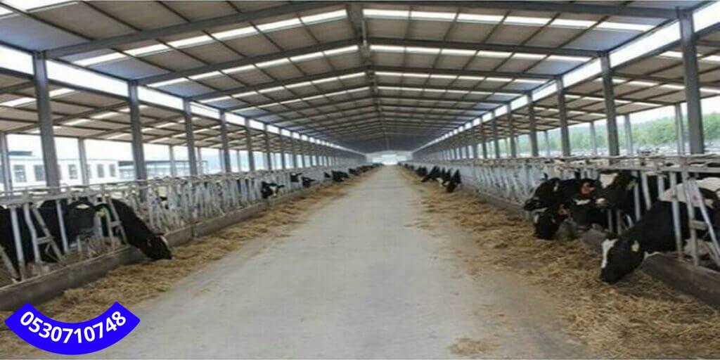 تنفيذ هناجر زراعية لتخزين الأعلاف