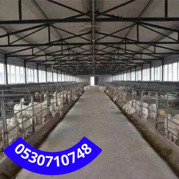 مزايا بناء هناجر مزارع