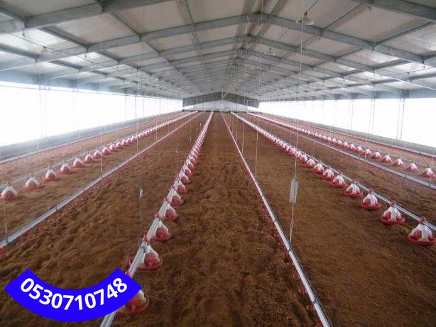 بناء حظائر دواجن جدة | تصميم حديث وجودة عالية بأسعار تنافسية