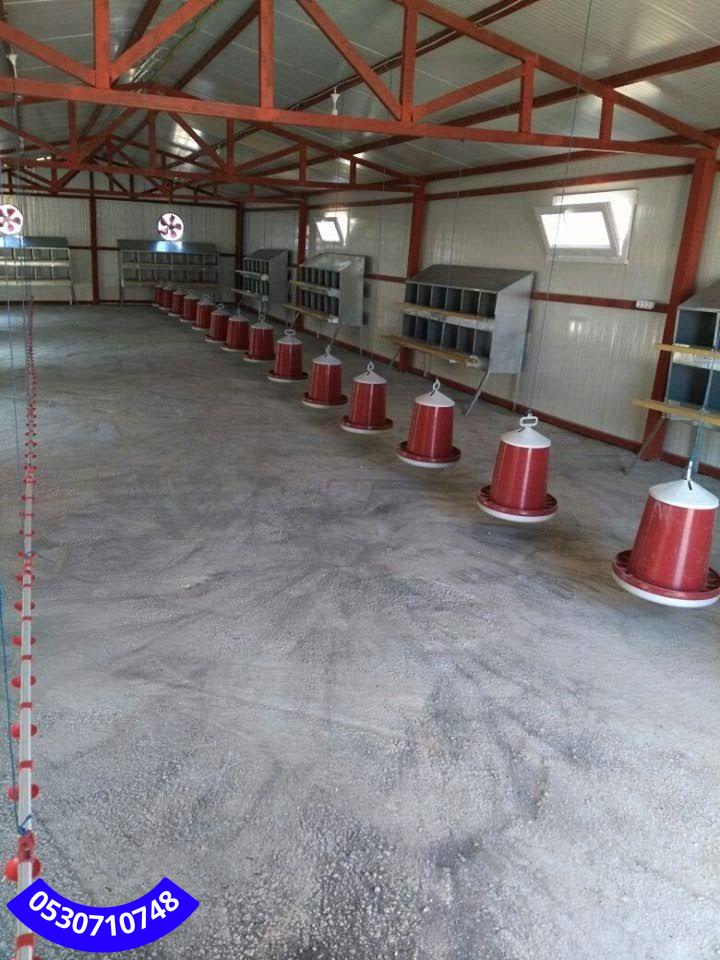 أماكن تركيب حظائر الدواجن