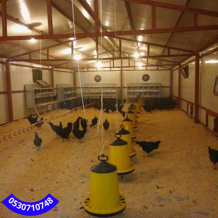 أسعار بناء حظائر دواجن في جدة